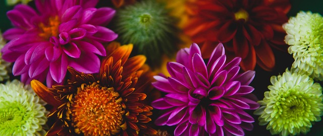 未来10天的广州：短袖+雨伞+长袖.