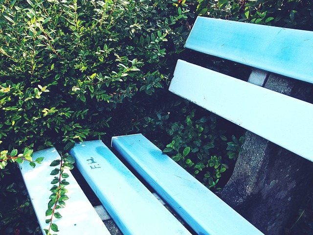 反观芬兰 反观芬兰