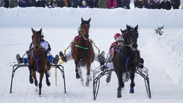 队友更好地 队友更好地