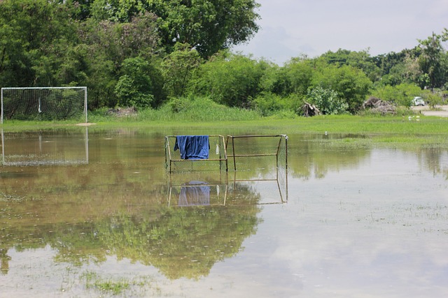 的技巧展示 的技巧展示