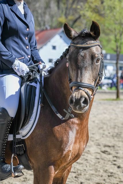 官方：前武汉三镇外援佩德罗-恩里克加盟云南玉昆.