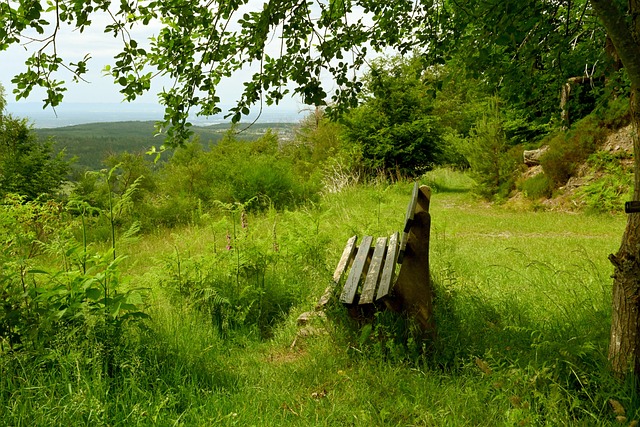 年俄罗斯世 年俄罗斯世