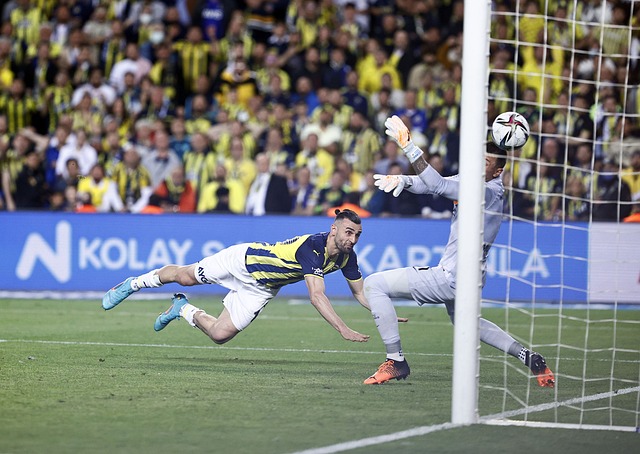 潛力的堅定 潛力的堅定