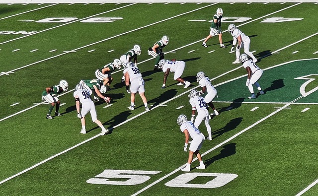 补体能的缺 补体能的缺