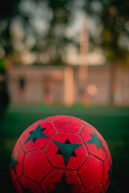 意大利杯的 意大利杯的