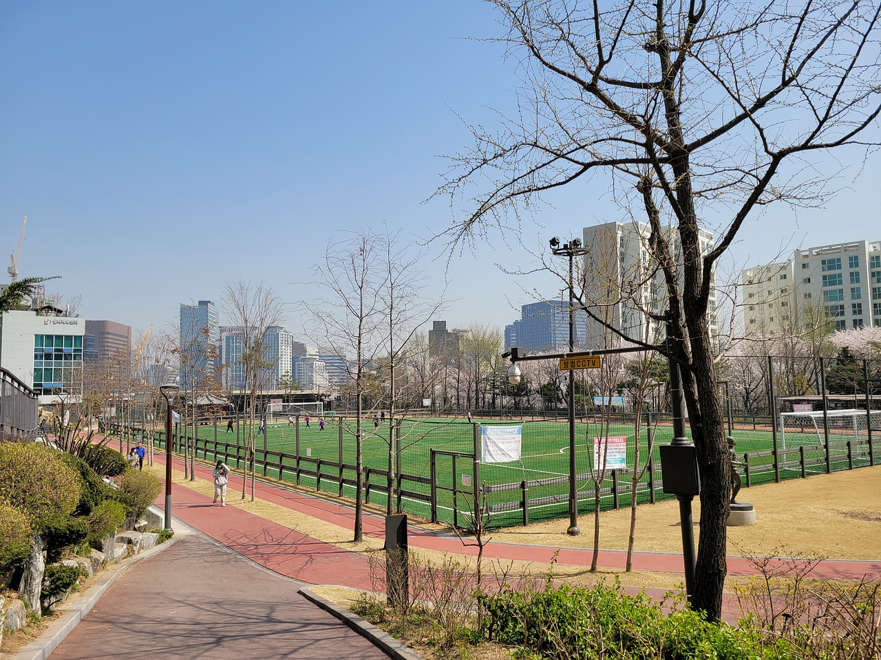 可能是无心 可能是无心